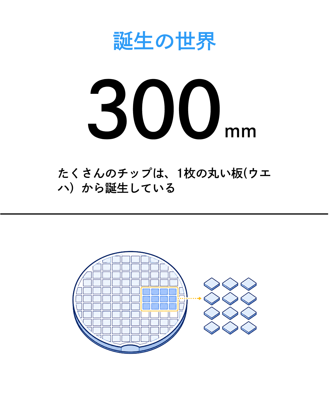 誕生の世界 300mm たくさんのチップは、1枚の丸い板(ウェハ)から誕生している
