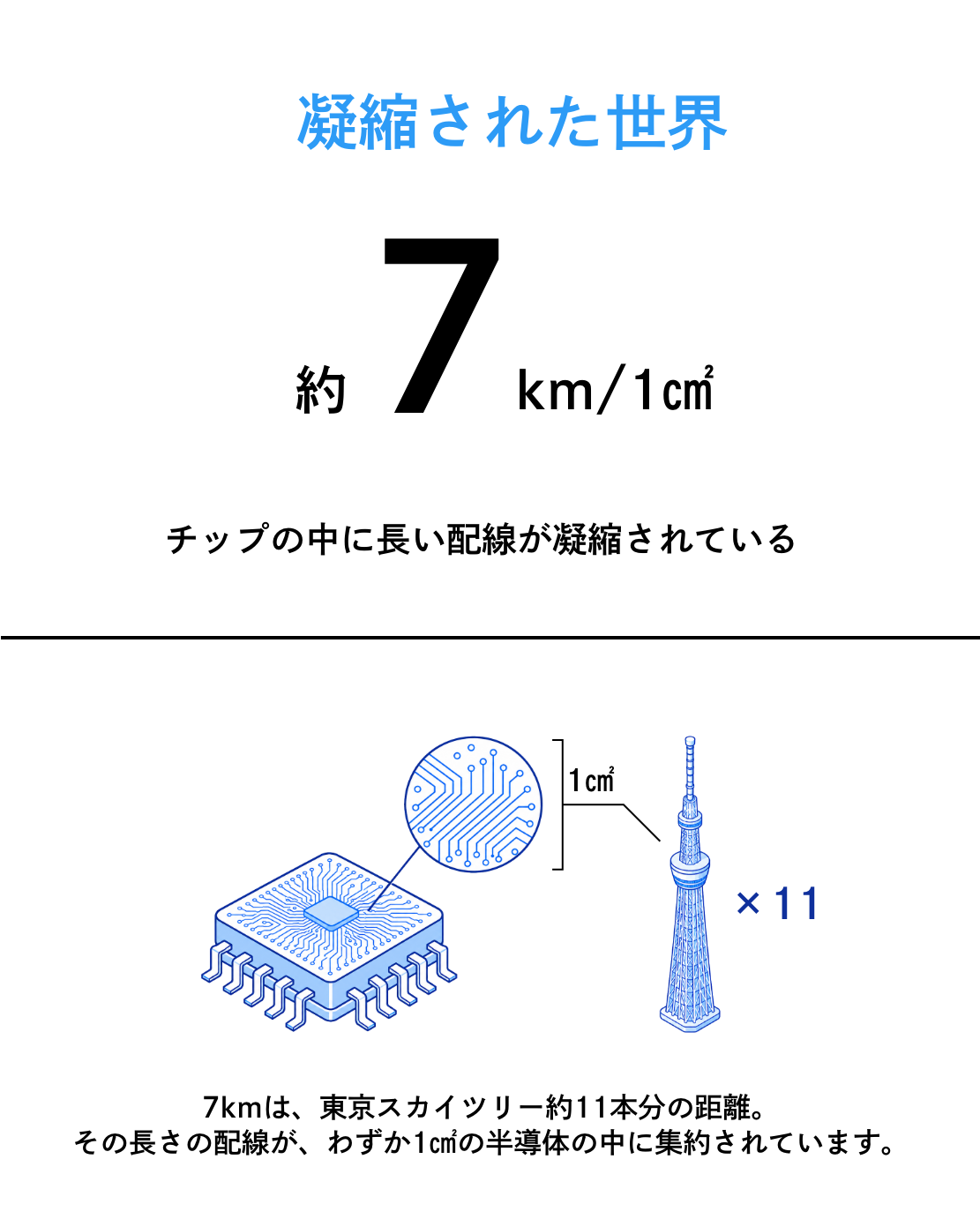 凝縮された世界 約7km/1㎠